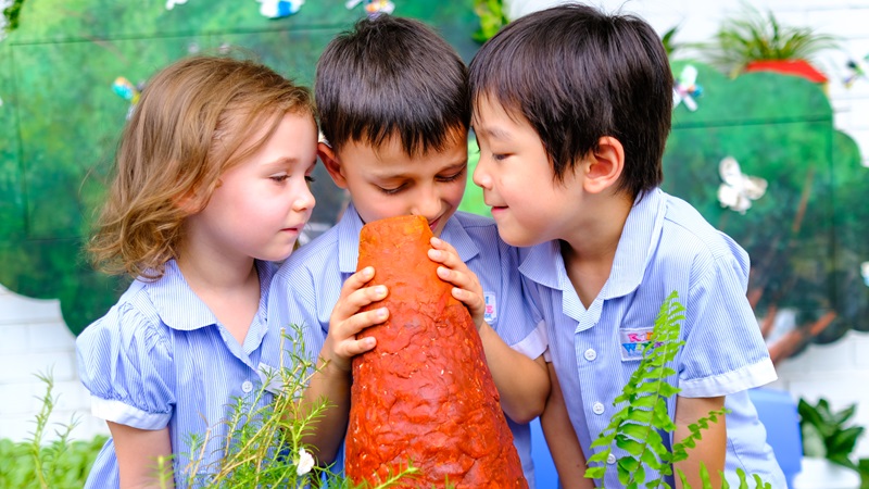 KiddiWinkie Outdoor Play