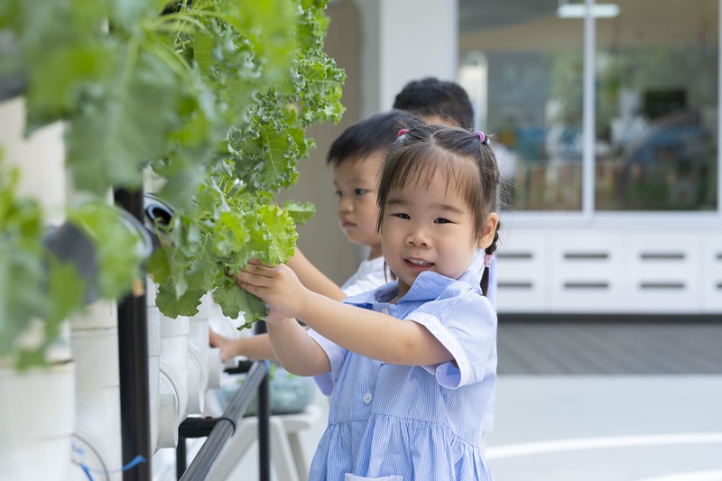 KiddiWinkie Nature Outdoor Play
